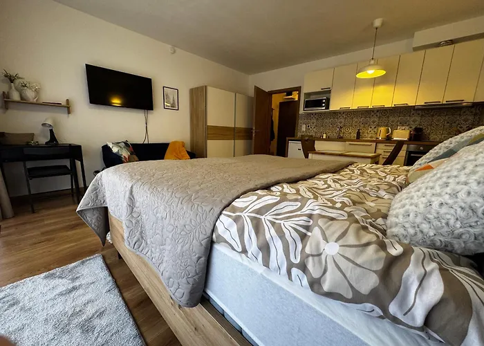 Vivid Studio With Balcony With Free Private Parking